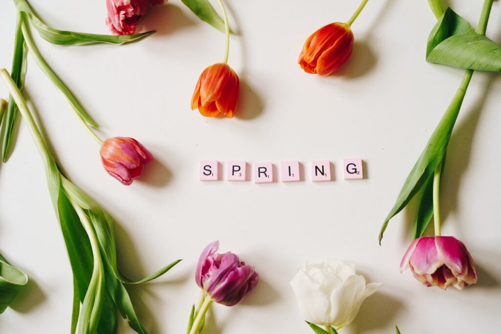Spring Letters and Flowers