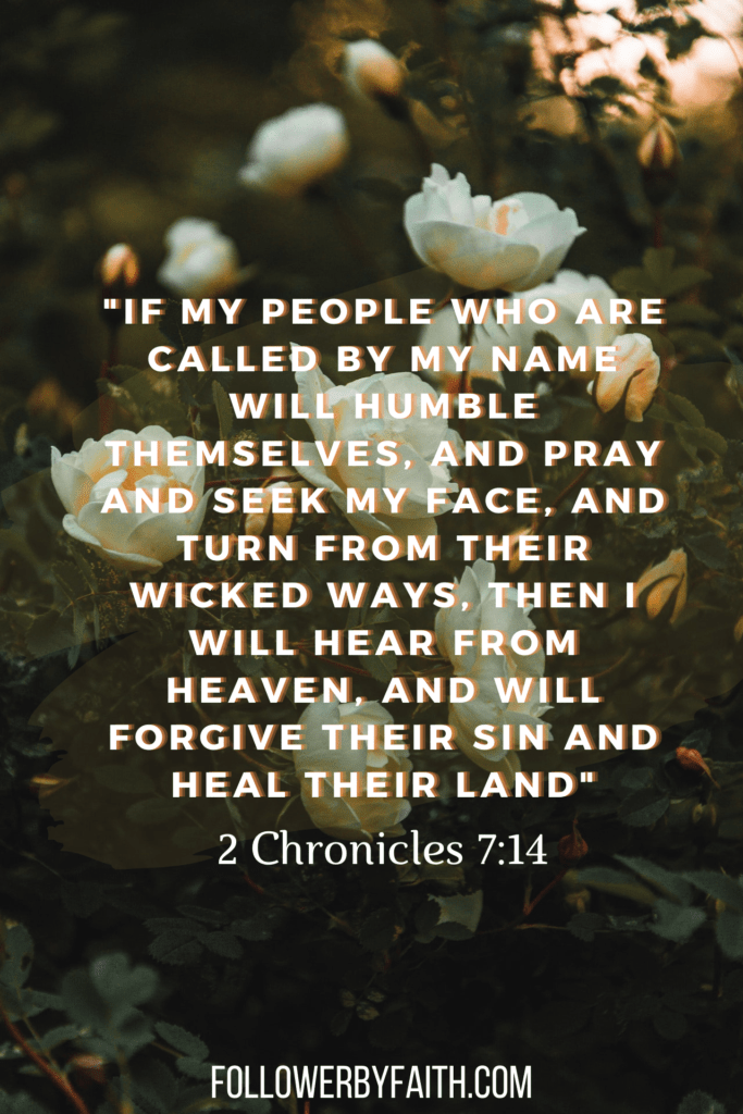 2 Chronicles 7:14 Daily Bible Verse