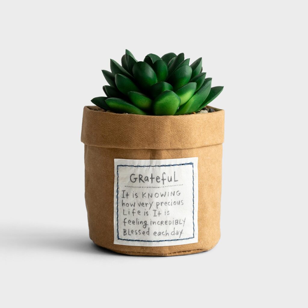 Grateful Succulent Burlap Gift