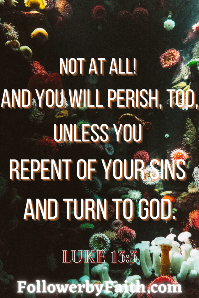 Luke 13:3 Repentance Daily Bible Verse
