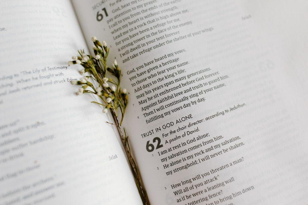 Godly self care: Holy Bible Daily Bible Verse