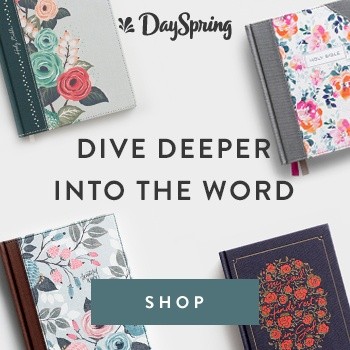 Dayspring Dive Deeper Into The Word