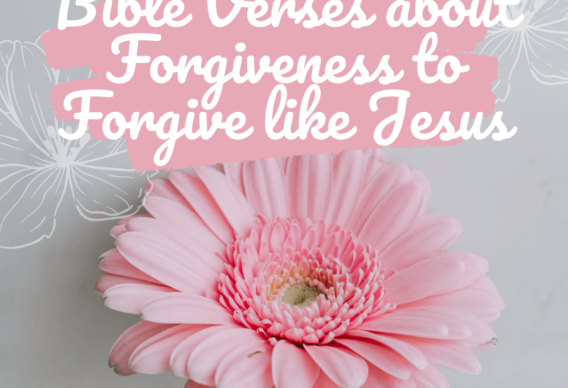 Pink Flower Bible Verses About Forgiveness
