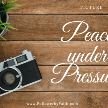 Peace under Pressure Camera Photo