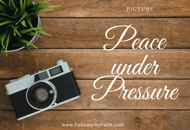 Peace under Pressure Camera Photo