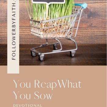 You Reap What You Sow Devotional with Bible Verses