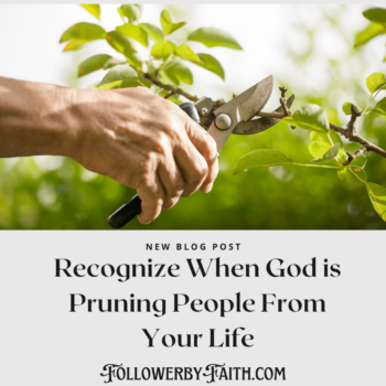 Prune: Recognize When God is Pruning People From Your Life