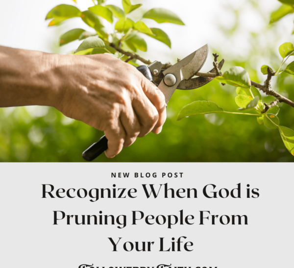 Prune: Recognize When God is Pruning People From Your Life