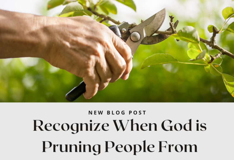 Prune: Recognize When God is Pruning People From Your Life