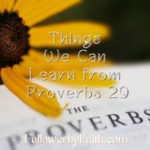 Things to Learn from Proverbs 29